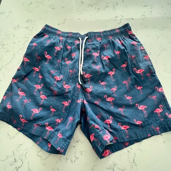 Men’s Swim Trunks - Picture 1 of 3